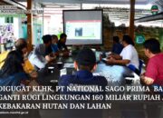 DIGUGAT KLHK, PT NATIONAL SAGO PRIMA BAYAR GANTI RUGI LINGKUNGAN 160 MILIAR RUPIAH ATAS KEBAKARAN HUTAN DAN LAHAN