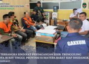 TIGA TERSANGKA SINDIKAT PERDAGANGAN SISIK TRENGGILING DI KOTA BUKIT TINGGI, PROVINSI SUMATERA BARAT SIAP DISIDANGKAN