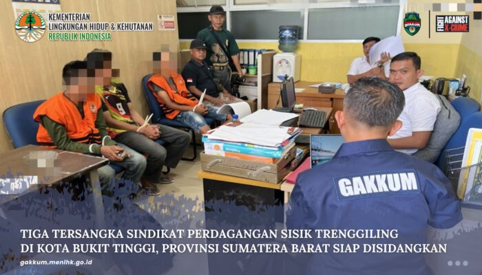 TIGA TERSANGKA SINDIKAT PERDAGANGAN SISIK TRENGGILING DI KOTA BUKIT TINGGI, PROVINSI SUMATERA BARAT SIAP DISIDANGKAN