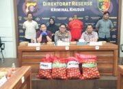 Ditreskrimsus Polda Kalteng Berhasil Amankan 1 Tersangka Pengangkut 8,4 Ton Bawang Bombay Ilegal di Palangka Raya