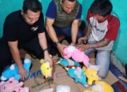 Ditresnarkoba Berhasil Ungkap Narkotika Jenis Shabu 6 KG Di Dalam Boneka