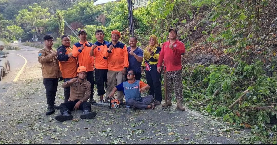 Sempat Tutup Jalan Utama Merak, BPBD Cilegon Bersihkan Pohon Tumbang Depan Hotel Merak Beach