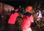 Sempat Tutup Jalan Utama Merak, BPBD Cilegon Bersihkan Pohon Tumbang Depan Hotel Merak Beach