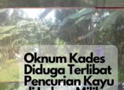 Oknum Kades Diduga Terlibat Pencurian Kayu di Lahan Tanah Milik Warga