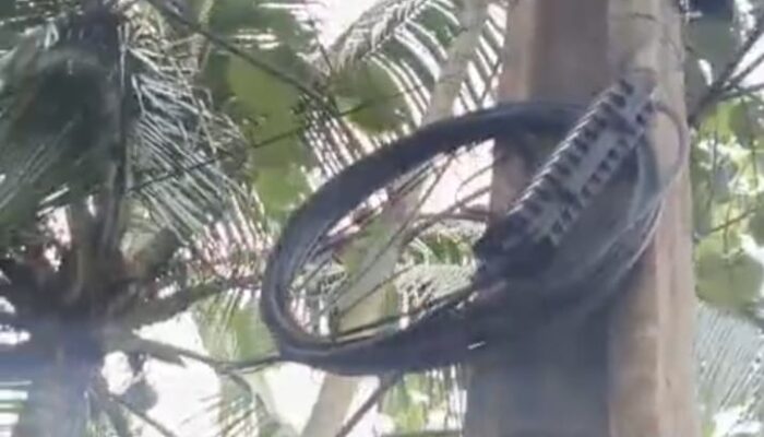 Maraknya Wifi Ilegal di Lebak, Petugas PLN : Kabel Wifi Semrawut Menggangu dan Menyulitkan Kami