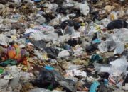 Klarifikasi Kabid LH Terkait Sampah Dari Bogor