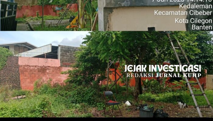Lahan KWT di Kelurahan Kedaleman Terbengkalai, Program Tidak Terlaksana dengan Baik