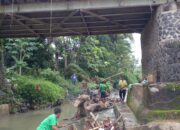 Warga Sesalkan Sikap Kades Sukasari, Abai dan Tak Peduli Laporan dan Pengaduan Masyarakat Terkait Tumbangnya Pohon Besar