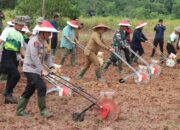 Kapolres Lebak dan Forkopimda Lebak Dukung Ketahanan Pangan Laksanakan Penanaman Jagung Target Sejuta Hektar
