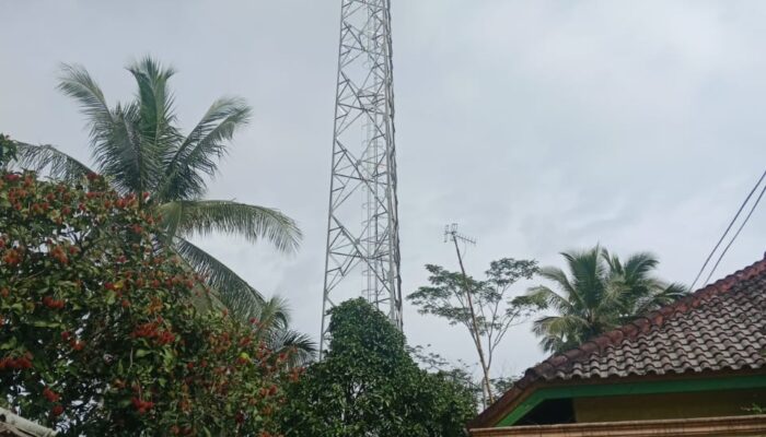 Tindakan Melawan Hukum, Tower Tak Berijin Diduga Milik PT Dayamitra Telekomunikasi TBK