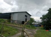 Warga Cimangenteung Terganggu Adanya Kandang Ayam dan Tidak Pernah Menerima Kompensasi