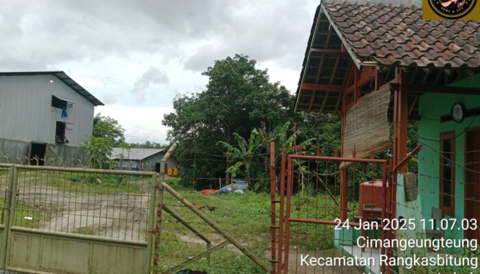 Perusahaan Ternak Ayam di Cimangenteung, Rangkasbitung Diduga Abaikan Warga Sekitar dan Diskriminatif