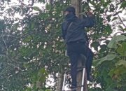 Pengusaha Wifi JIB/Nusanet Diduga Tanpa Ijin Gunakan Tiang Penyangga Milik PT PLN