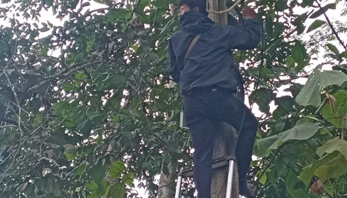 Pengusaha Wifi JIB/Nusanet Diduga Tanpa Ijin Gunakan Tiang Penyangga Milik PT PLN