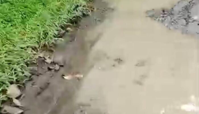 Rusak Parah dan Sering Terjadi Kecelakaan, Warga Muncang Kopong Keluhkan Jalan Belum Ada Perbaikan