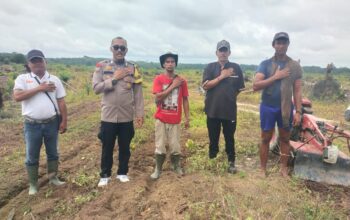 Polsek Pangean Tinjau Lokasi Penanaman Jagung Pipil Di PT. Gatipura Mulya Dukung Program Ketahanan Pangan