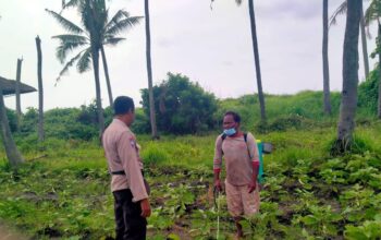 Interaksi Ketahanan Pangan, Polsek Blahbatuh Tingkatkan Sambang Dengan Petani