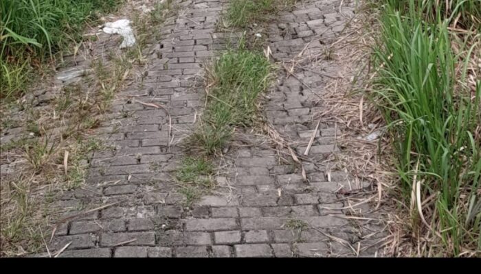 PUPR Cilegon Tutup Mata!  Jalan Rusak Akibat Proyek SMPN 14 Dibiarkan Terbengkalai