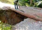 Diduga Salah Sasaran, Dana Desa di Perkebunan Padang Polau Gunakan APBN untuk Bangun Jalan di Areal HGU PT Socfindo