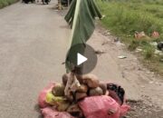 Warga Keluhkan Kondisi Jalan Rusak di Perbatasan Cilegon-Serang Lewat WhatsApp Grup, Begini Respon Camat, Kadis PUPR