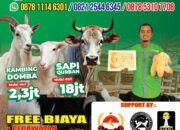 Razan Farm Tawarkan Hewan Qurban Sehat dan Terawat Jelang Idul Adha 1446 H