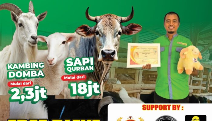 Razan Farm Tawarkan Hewan Qurban Sehat dan Terawat Jelang Idul Adha 1446 H