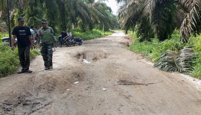 Warga Berumbun Atas Gotong Royong Perbaiki Jalan Rusak Menuju Desa Suka Makmur