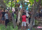 Semangat Qurban di Mushola Al-Mu’allimin, Dukuh Kuwukan: 3 Ekor Sapi dan 5 Ekor Kambing dari Swadaya Warga