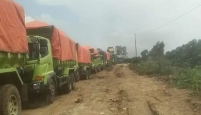 Anggota DPRD Lebak Desak Pol PP Tindak Tegas Galian Tanah Ilegal di Maja dan Curugbitung