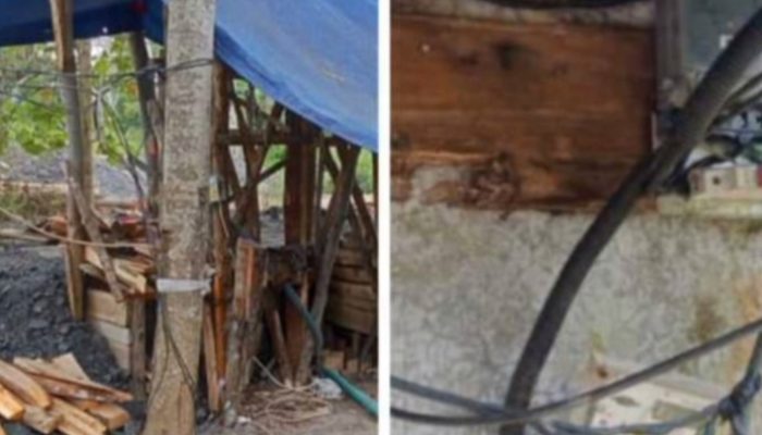Dibawah Hidung Perhutani dan PLN, Tambang Ilegal Masih Aktif dan Tewaskan Pekerja
