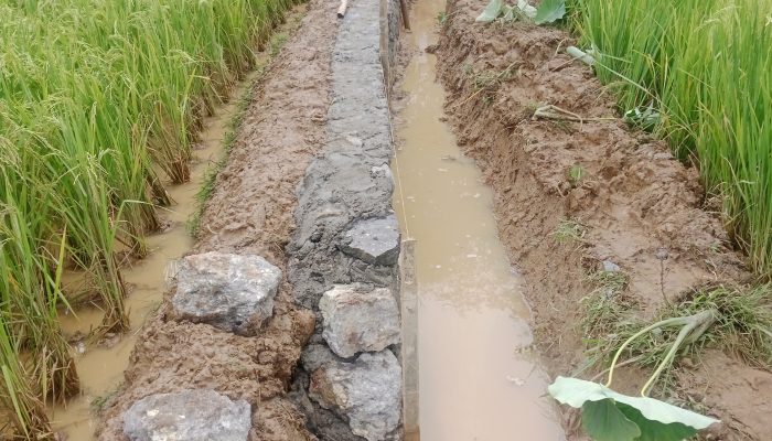 Proyek irigasi P3GAI Diduga Dikerjakan Asal asalan, di desa cigoongutara 
