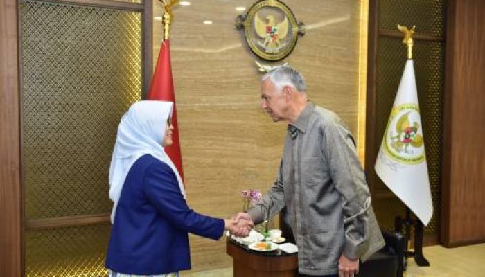 BPK–IFAC–IAI Bahas Kolaborasi Perkuat Profesi Akuntan dan Tata Kelola Keuangan Publik