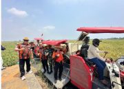 MPW Pemuda Pancasila Banten Bersama TanI dan Pemkot Serang Berhasil Wujudkan Panen Raya Padi