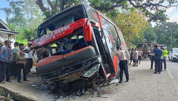 Tragedi Bus Wisata: Delapan Karyawan RS Bina Sehat Jember Tewas di Lereng Gunung Bromo