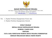 Detik-Detik Penentuan: BKN Atur Mekanisme NI PPPK, Honorer Wajib Lengkapi 7 Dokumen Sakral