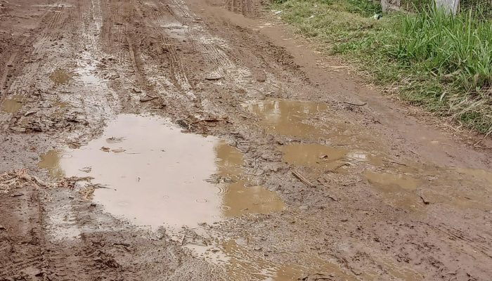 Jalan Berlumpur Akibat Proyek PT Krakatau Tirta Industri, Warga Kerenceng Minta DLH Turun Tangan