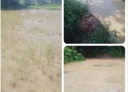 Petani Desa Pagintungan Desak Pemerintah Serius Tindak Limbah Tambang Pasir PT BHT yang Cemari Sawah