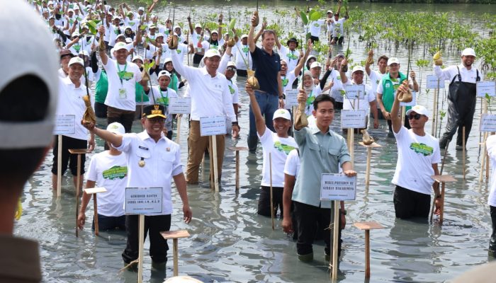 Wapres Gibran dan Gubernur Andra Soni Tanam Mangrove di Pesisir Mauk