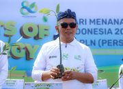 Perkuat Sabuk Hijau Pesisir, Gubernur Banten Andra Soni Ajak Masyarakat Rawat Mangrove