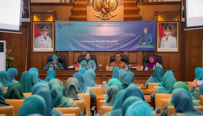 Galeri Pelangi, Strategi TP PKK Provinsi Banten Berdayakan Desa