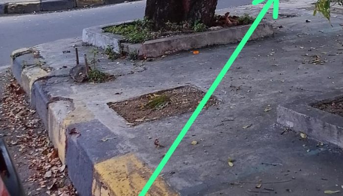 Ibu dan Anak Mengemis di Depan Kantor Pemerintahan, Aktivis Soroti Kontrasnya Kondisi Sosial di Cilegon