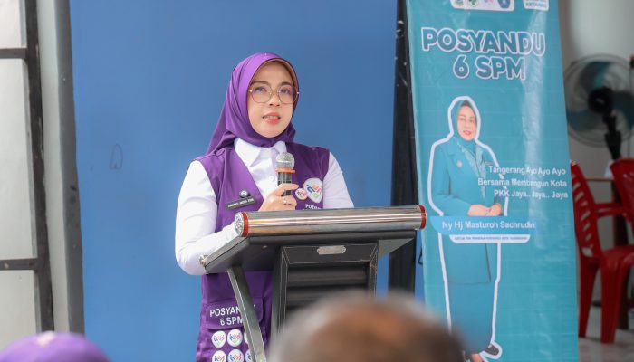 Tinawati Andra Soni Ajak Kader Posyandu Dukung Pelayanan 6 SPM ke Masyarakat