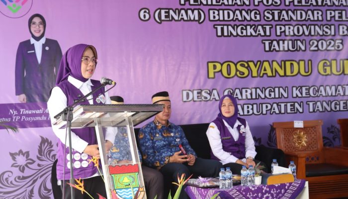 Tinawati Andra Soni Kenalkan Seragam Ungu Posyandu: Simbol Kebanggaan dan Pemberdayaan