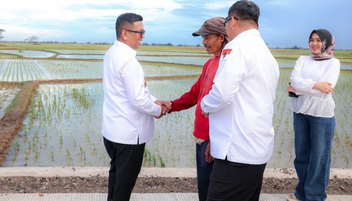 Program “Bang Andra” Buka Akses Desa Sukajaya, Dongkrak Produktivitas Warga Serang