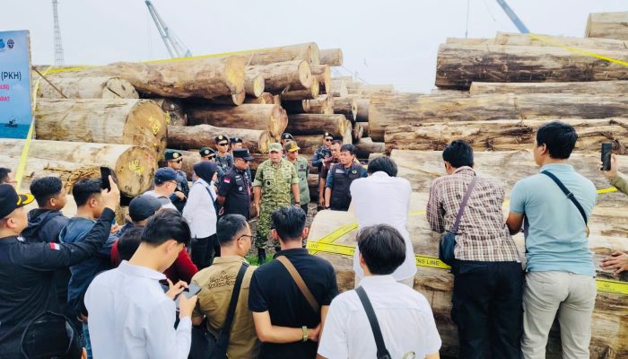 Kasus Illegal Logging Terbesar di Mentawai Siap Dilimpahkan, Kerugian Negara Tembus Rp447 Miliar