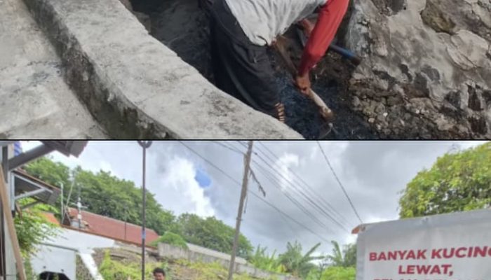 Capaian Kinerja 2025 Kelurahan Citangkil Terealisasi Optimal Meski Ada Rasionalisasi Anggaran