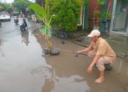 Jalan Rusak Parah di Pusat Aktivitas Warga Panggungrawi Ditanami Pohon Pisang, Warga Desak Pemkot Cilegon Bertindak Cepat