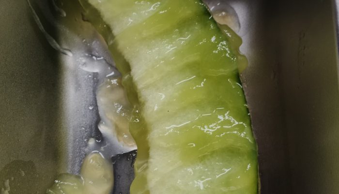 Ironi Makan Bergizi Gratis: Menu Mentah, Basi dan Berulat Dibagikan ke Siswa, Pengelola SPPG Akui 