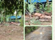 Tambang Batu Bara Ilegal Diduga Masih Beroperasi di Kawasan Perhutani Cihara, Warga Desak APH dan Gakkum KLHK Bertindak Tegas