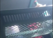 Investigasi Malam Tim Jurnal KUHP Temukan Dugaan Penjualan Miras Berkedok Jamu di Dekat Kantor Pemerintah